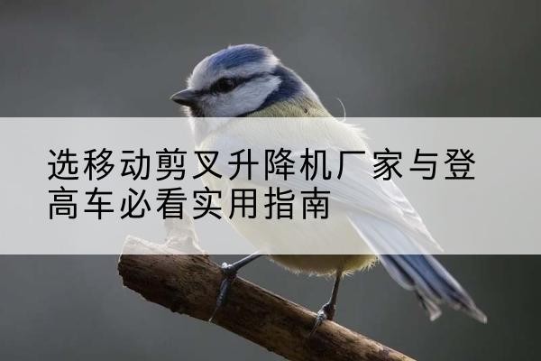 惠民电动升降机厂家-选移动剪叉升降机厂家与登高车必看实用指南