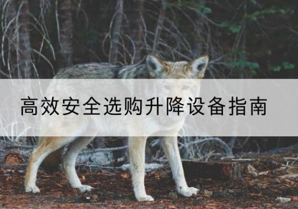 惠民升降货梯厂家推荐-*安全选购升降设备指南