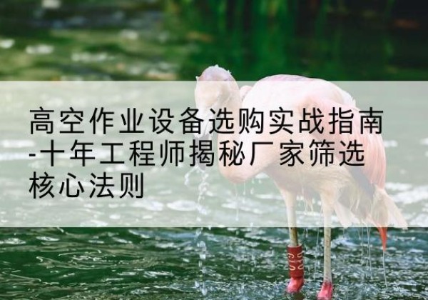 惠民剪叉式升降机厂家-高空作业设备选购实战指南-十年工程师揭秘厂家筛选核心法则